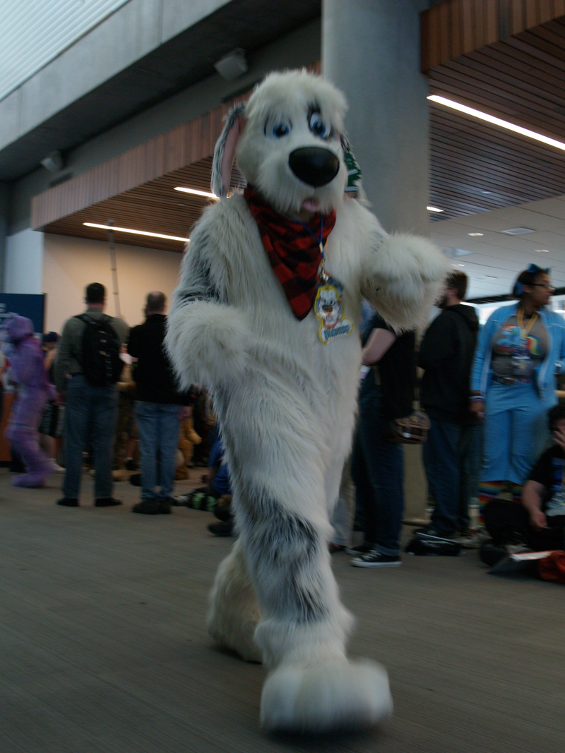 Illustration for article titled My Weekend At A Furry Convention